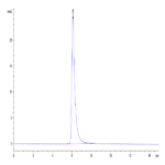 SARS-COV-2 Spike S Trimer (D614G) Protein (COV-VM4LG)