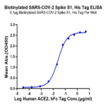 Biotinylated SARS-COV-2 Spike S1 Protein (COV-VM4S1B)