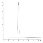 Biotinylated SARS-COV-2 Spike S1 Protein (COV-VM4S1B)
