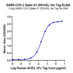 SARS-COV-2 Spike S1 (D614G) Protein (COV-VM4SG)