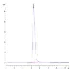 SARS-COV-2 Spike S1 (D614G) Protein (COV-VM4SG)