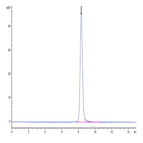 Biotinylated SARS-COV-2 Spike RBD Protein (COV-VM5BDB)