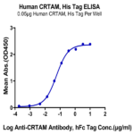 Human CRTAM Protein BP005173 Syd Labs