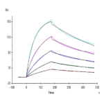 Human M-CSF/CSF-1 Protein BP004819 Syd Labs