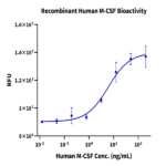 Human M-CSF/CSF-1 Protein (CSF-HM001)