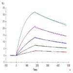 Human M-CSF R/CSF1R/CD115 Protein BP005052 Syd Labs