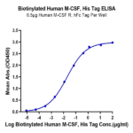 Biotinylated Human M-CSF/CSF-1 Protein BP003974 Syd Labs