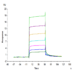 Biotinylated Human M-CSF R/CSF1R/CD115 Protein BP005774 Syd Labs