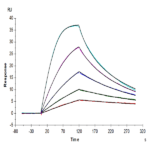 Biotinylated Human GM-CSF R alpha Protein BP005653 Syd Labs