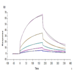 Mouse M-CSF R/CSF1R/CD115 Protein BP004603 Syd Labs