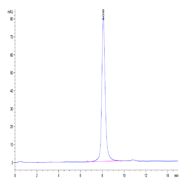 Mouse GM-CSF R alpha Protein (CSF-MM12R)