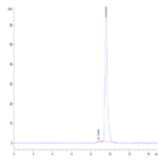 Mouse Cathepsin H Protein BP003233 Syd Labs