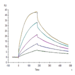 Cynomolgus CTLA-4/CD152 Protein BP005158 Syd Labs