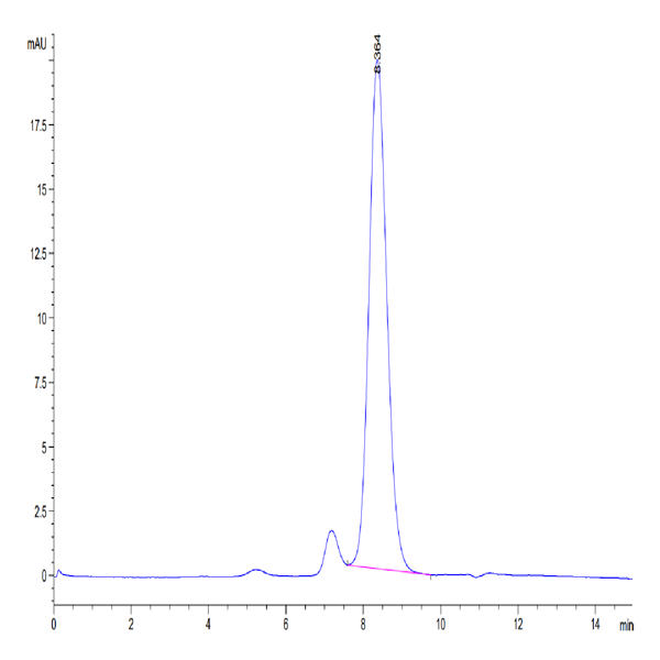 Human CTLA-4/CD152 Protein (CTL-HM141)