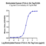 Biotinylated Human CTLA-4/CD152 Protein BP005643 Syd Labs
