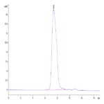 Human CX3CL1/Fractalkine Protein BP005167 Syd Labs