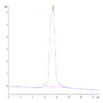 Mouse CX3CL1/Fractalkine Protein BP004985 Syd Labs