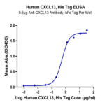 Human CXCL13/BCA-1 Protein BP004083 Syd Labs