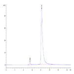Mouse CXCL13/BCA-1 Protein BP004930 Syd Labs