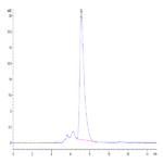 Mouse CXCL16 Protein BP004559 Syd Labs