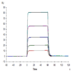 Human DNAM-1/CD226 Protein BP005333 Syd Labs