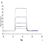 Biotinylated Human DNAM-1/CD226 Protein BP005049 Syd Labs