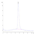 Biotinylated Human DNAM-1/CD226 Protein (DAM-HM101B)