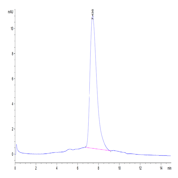 Biotinylated Human DNAM-1/CD226 Protein (DAM-HM101B)