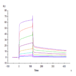 Human DNAM-1/CD226 Protein BP005048 Syd Labs