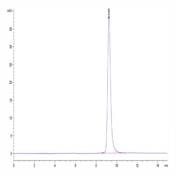 SARS-COV-2 Spike RBD (Delta B.1.617.2) Protein (DB1-VM1BD)