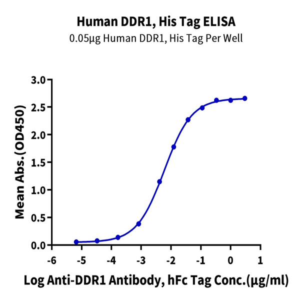 Human DDR1 Protein (DDR-HM1R1)