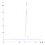 Human DDR1 Protein (DDR-HM1R1)