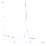 Human DDR2 Protein BP004057 Syd Labs