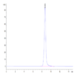 Mouse DDR1 Protein BP004391 Syd Labs