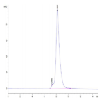 Mouse DDR2 Protein BP004082 Syd Labs