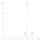 Canine DDT Proten BP003776 Syd Labs