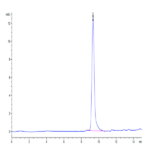 Human DDT Protein BP004186 Syd Labs