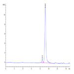 Mouse DDT Protein BP004185 Syd Labs