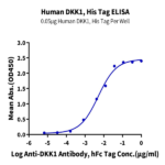 Human DKK1 Protein BP003512 Syd Labs