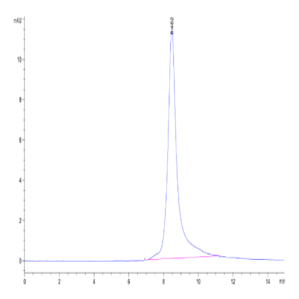 Human DKK1 Protein (DKK-HM101)