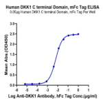 Human DKK1 C terminal Domain Protein BP003467 Syd Labs