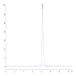 Human DKK1 N terminal Domain Protein BP003357 Syd Labs