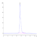 Human DKK1 N terminal Domain Protein BP004063 Syd Labs