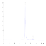 Biotinylated Human DKK1 N terminal Domain Protein BP003965 Syd Labs