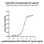 Human DKK1 C terminal Domain Protein BP004059 Syd Labs