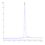 Cynomolgus DLK1 Protein BP003720 Syd Labs