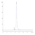 Human DLK1 Protein BP004097 Syd Labs