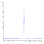 Human DLL1/Delta1 Protein BP004410 Syd Labs