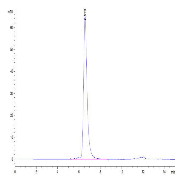 Human DLL4 Protein (DLL-HM204)