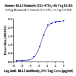Human DLL3 Domain (311-479) Protein BP003495 Syd Labs